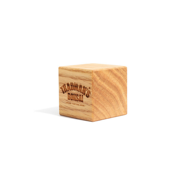 KINOCO × TRADMAN’S BONSAI CUBE 詳細画像